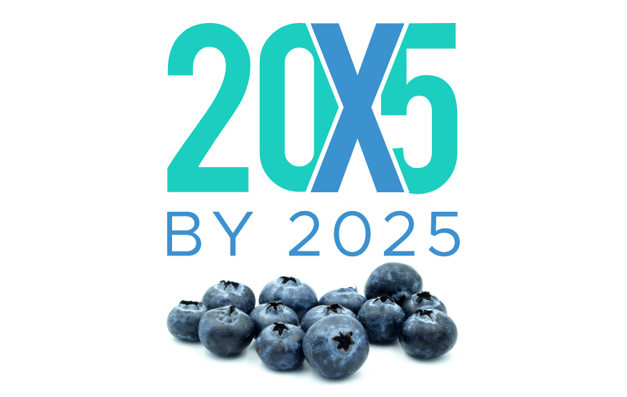 Food as Medicine 20x5 by 2025