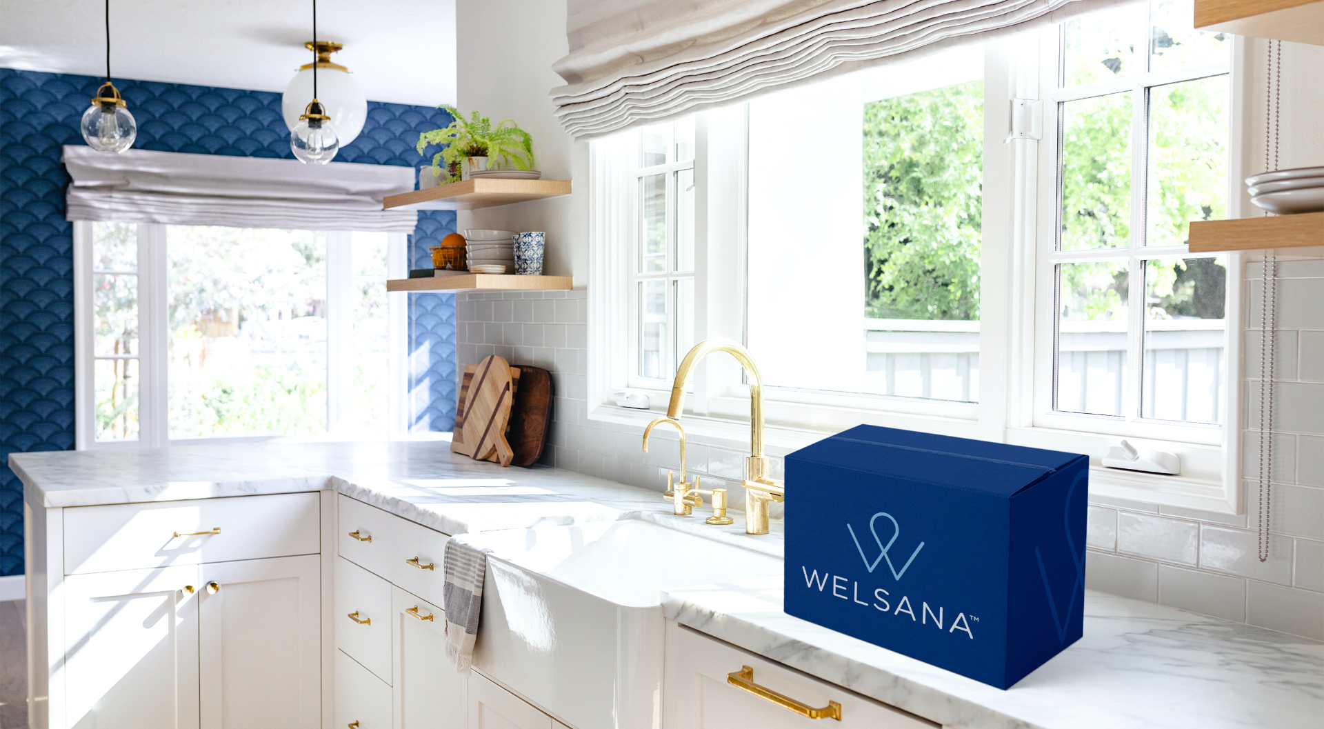 Welsana Products